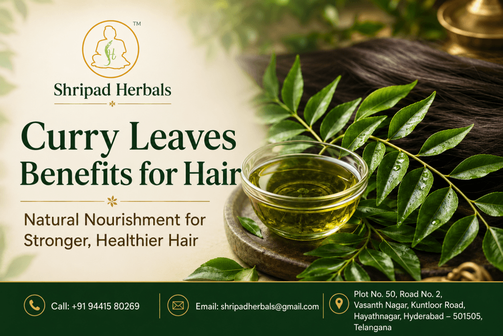 Curry Leaves Benefits for Hair