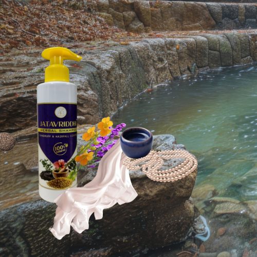 Herbal Shampoo 500 x 500